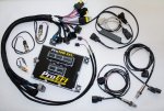(image for) ProEFI Standalone Tuning