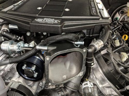 (image for) 2015-17 Mustang Modular Nose 5.0L Stage 2 Supercharger No Tuner