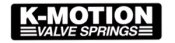 (image for) K-Motion Valve Springs