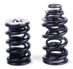 (image for) Ferrea Valve Springs